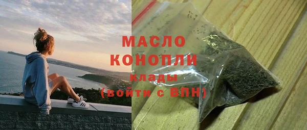 хмурый Арсеньев