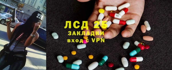 хмурый Арсеньев