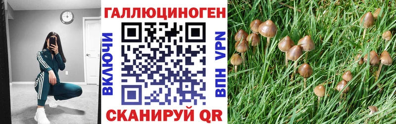 Галлюциногенные грибы Psilocybe  Чухлома 